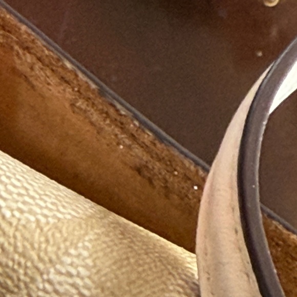 Coach Ellen Crossbody In Signature Canvas With Daisy Print - Picture 15 of 16